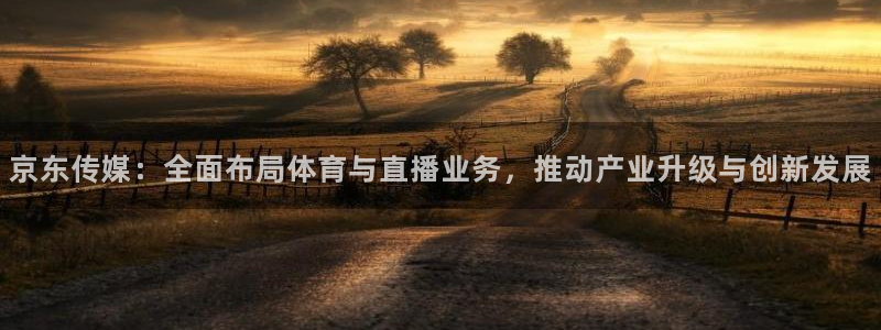 jrs看球网直播吧：京东传媒：全面布局体育与直播业务，推动产业升级与创新发展