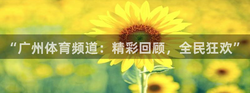 直播吧在线足球：“广州体育频道：精彩回顾，全民狂欢”