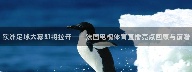 nba直播吧手机：欧洲足球大幕即将拉开——法国电视体育直播亮点回顾与前瞻