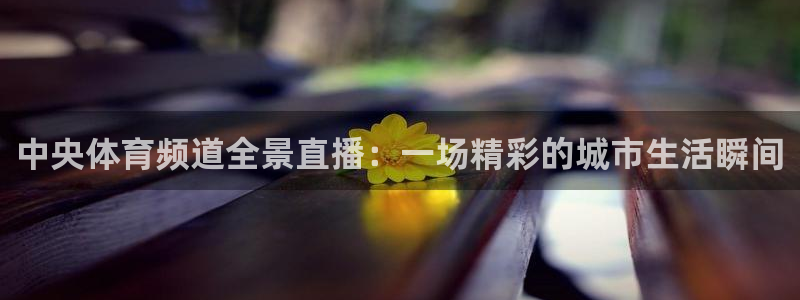 直播吧24：中央体育频道全景直播：一场精彩的城市生活瞬间