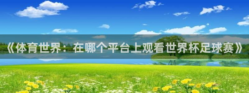 178足球赛事直播吧：《体育世界：在哪个平台上观看世界杯足球赛》
