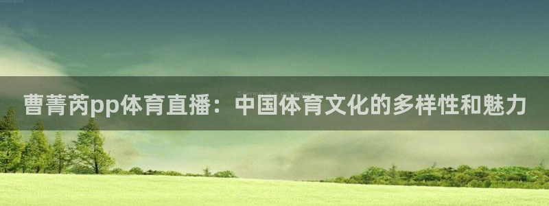 nba赛程直播吧：曹菁芮pp体育直播：中国体育文化的多样性和魅力