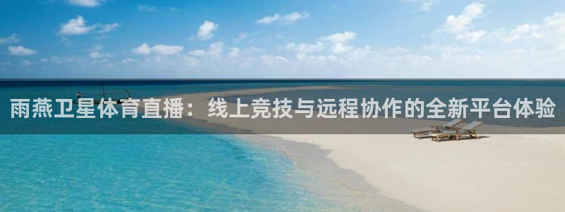 黑白足球直播吧：雨燕卫星体育直播：线上竞技与远程协作的全新平台体验