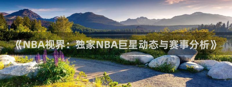 足球比赛免费直播吧：《NBA视界：独家NBA巨星动态与赛事分析》