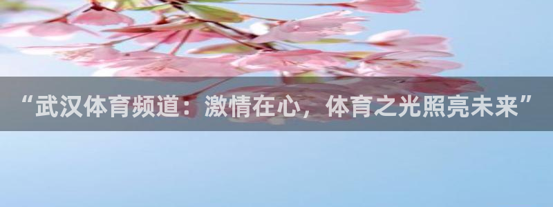 nba直播吧,：“武汉体育频道：激情在心，体育之光照亮未来”