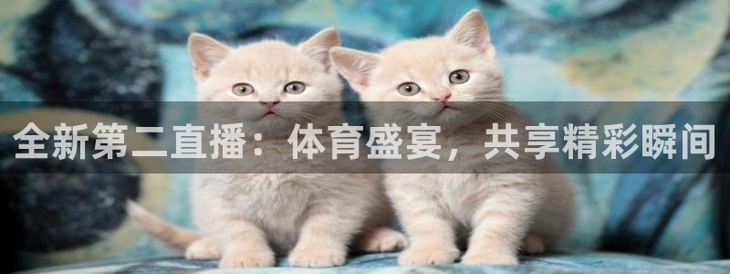 310直播吧nba直播