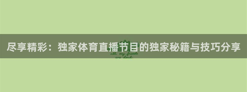 so米nba直播吧：尽享精彩：独家体育直播节目的独家秘籍与技巧分享