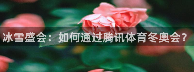 nba直播吧jrs直播：冰雪盛会：如何通过腾讯体育冬奥会？
