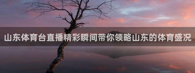 足球录像直播吧：山东体育台直播精彩瞬间带你领略山东的体育盛况