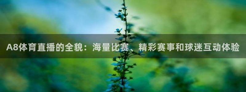 直播吧nba官网