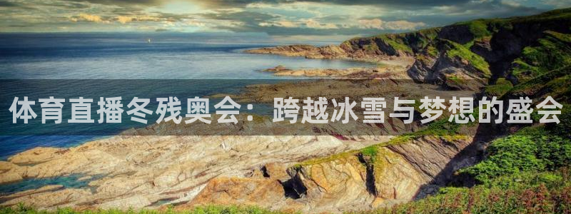 jrs极速体育nba直播吧：体育直播冬残奥会：跨越冰雪与梦想的盛会